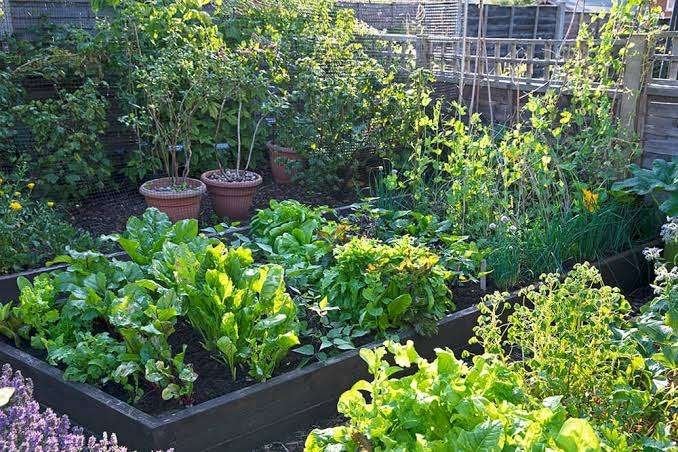 op zoek naar een stukje grond of tuintje ., Hobby en Vrije tijd, Ophalen of Verzenden, Zo goed als nieuw