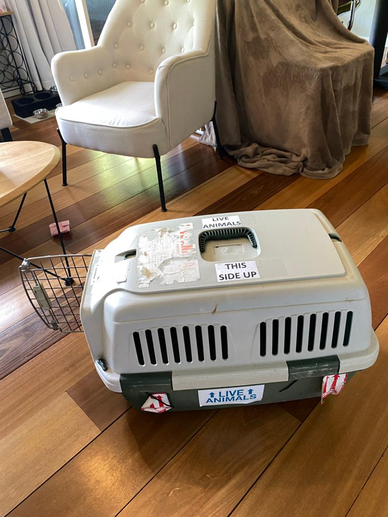 Cat carriers difference size available, Ophalen of Verzenden, Zo goed als nieuw