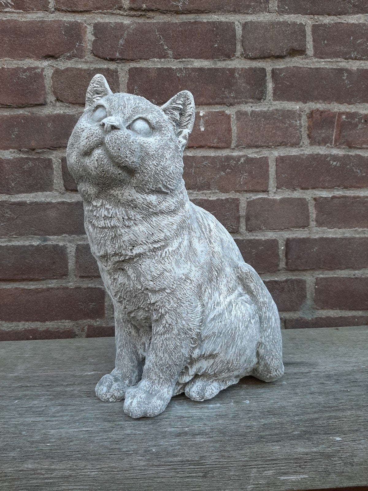 Kat poes betonnen beeld tuinbeeld beton, Ophalen