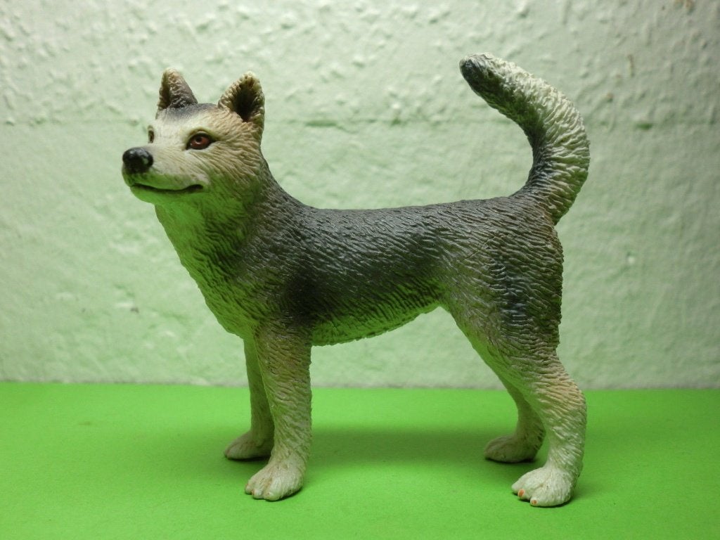 Schleich 16372 Husky, dierfiguur, Verzenden, Zo goed als nieuw, Hond of Kat, Beeldje of Figuurtje