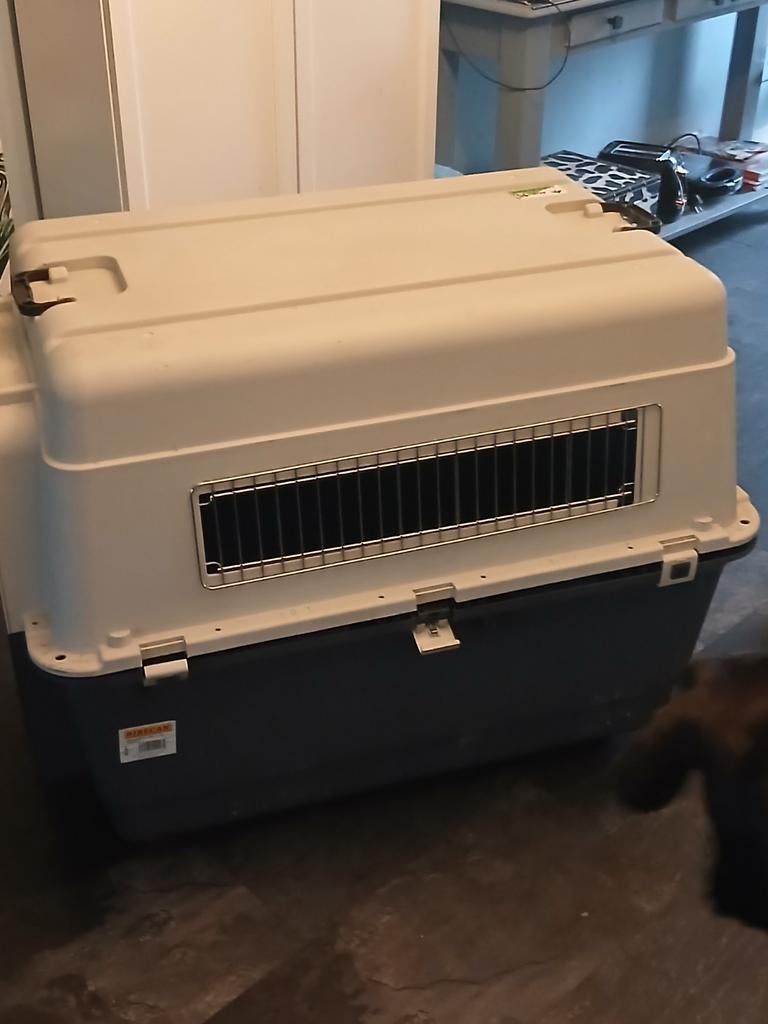 KOOPJE!!! VLIEGTUIG BENCH HOND, Ophalen of Verzenden, Zo goed als nieuw