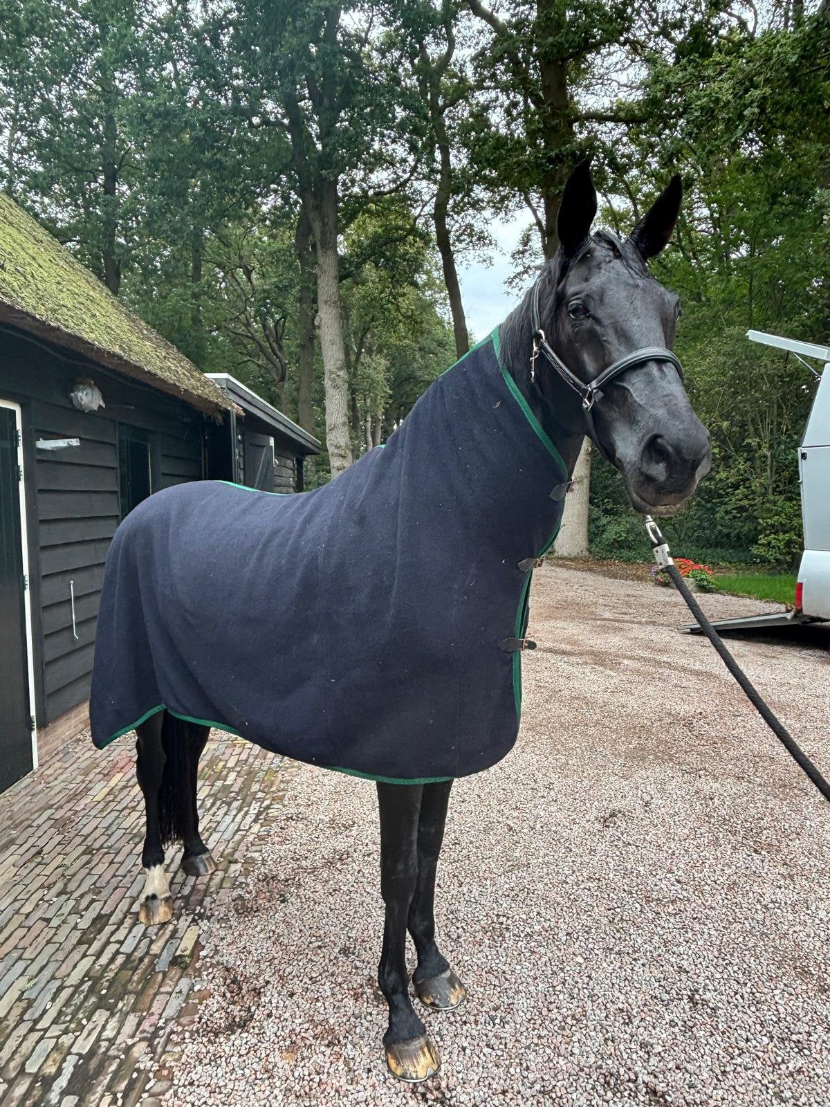 Handgemaakte fleece deken+hals full, Full (L), Zo goed als nieuw, Deken, Fleece
