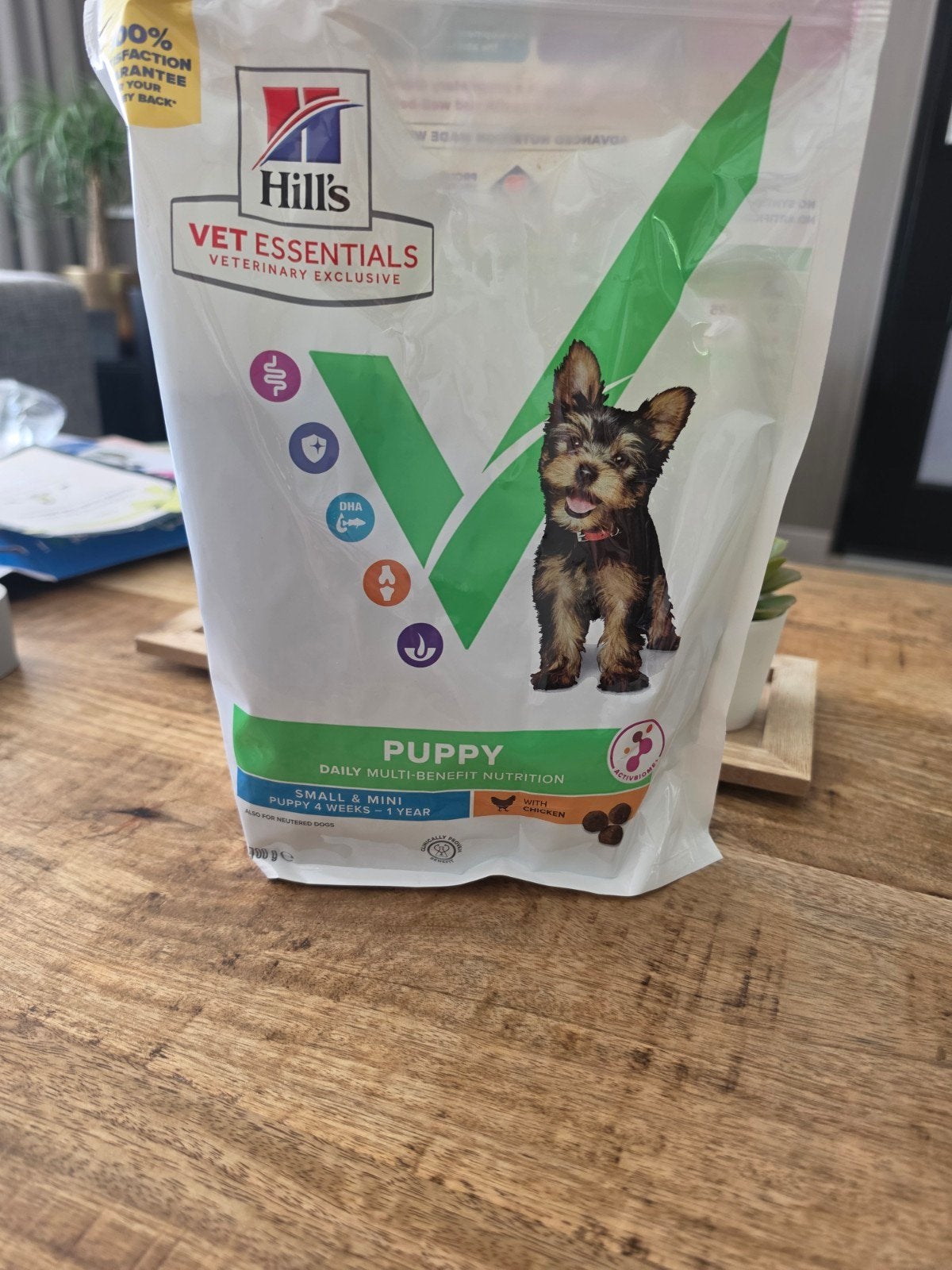 Puppy voeding, Ophalen, Hond