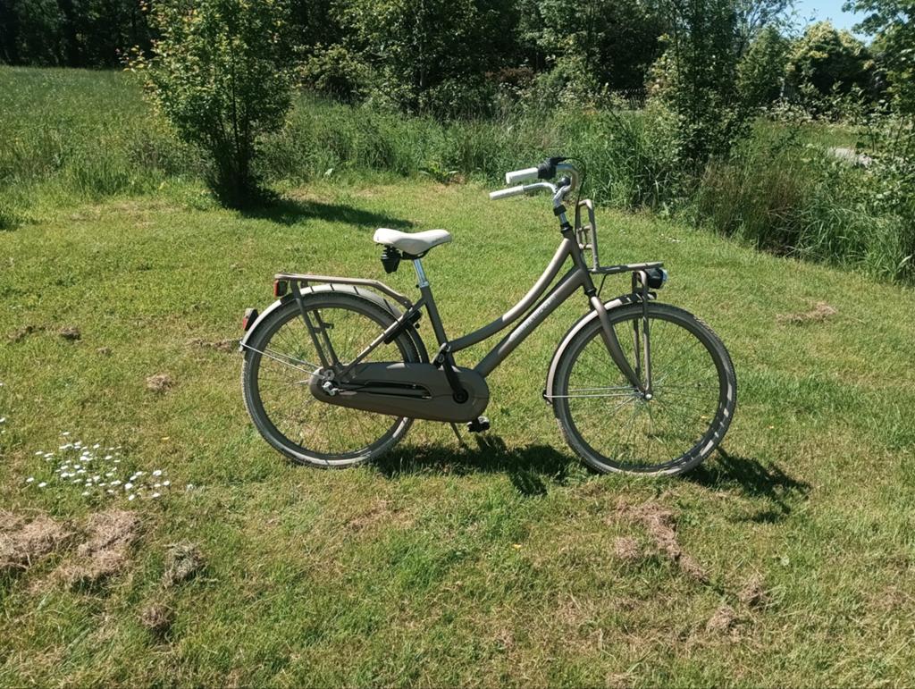 Sparta  pick-up meisjes fiets, Ophalen, Gebruikt, 20 inch of meer