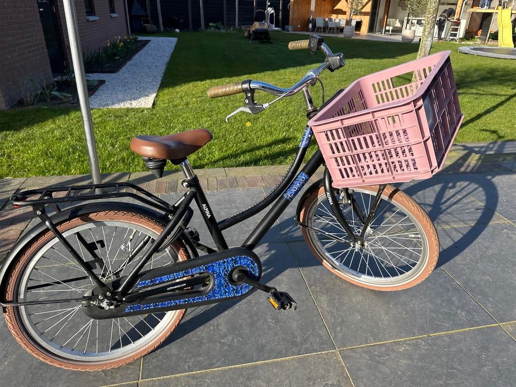 Apina cargo meisjesfiets zwart 20 inch - Gebruikt, Fietsen en Brommers, Fietsen | Meisjes, Ophalen of Verzenden, Gebruikt, 20 inch