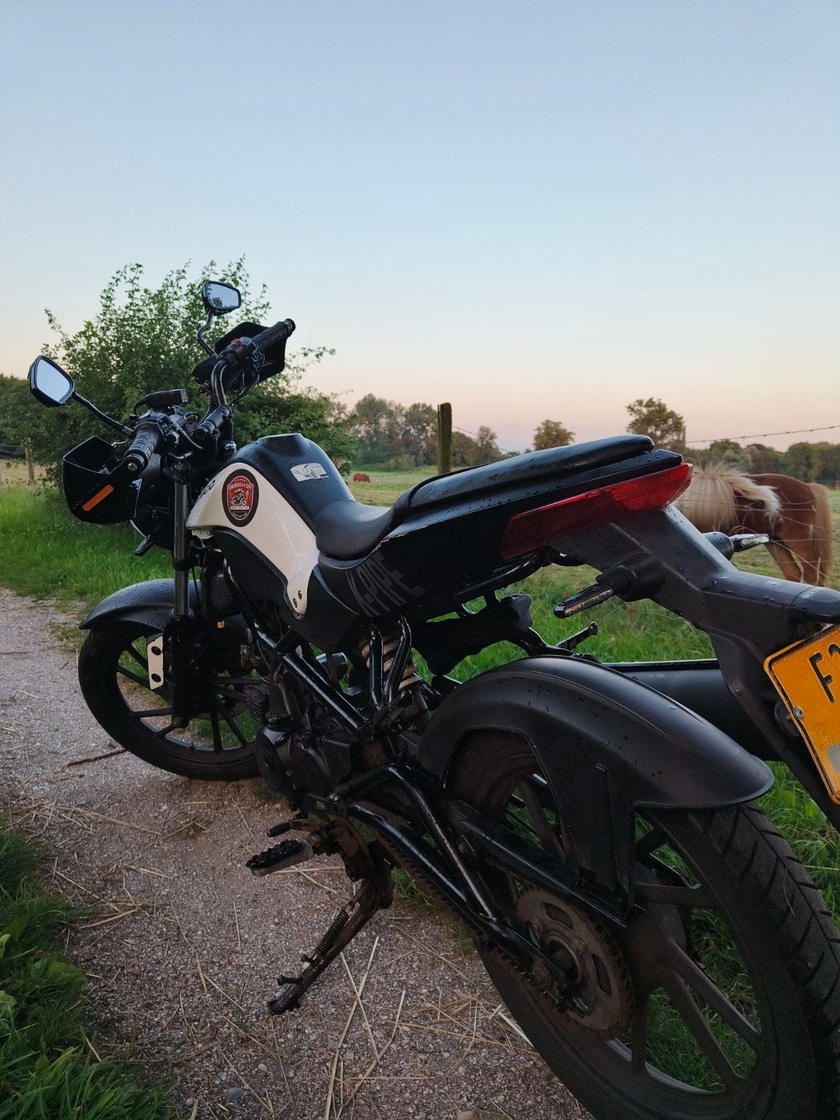 Kymco K-Pipe 50cc – waardepijling, Ophalen, Gebruikt, Kymco, Maximaal 45 km/u