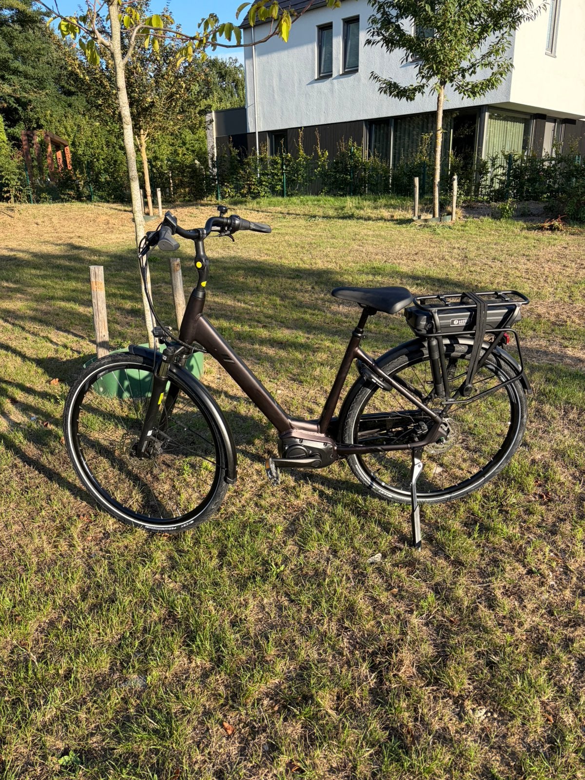 Giant Entour E+ Elektrische fiets. Maat M Kleur Cordovan, Ophalen, Zo goed als nieuw