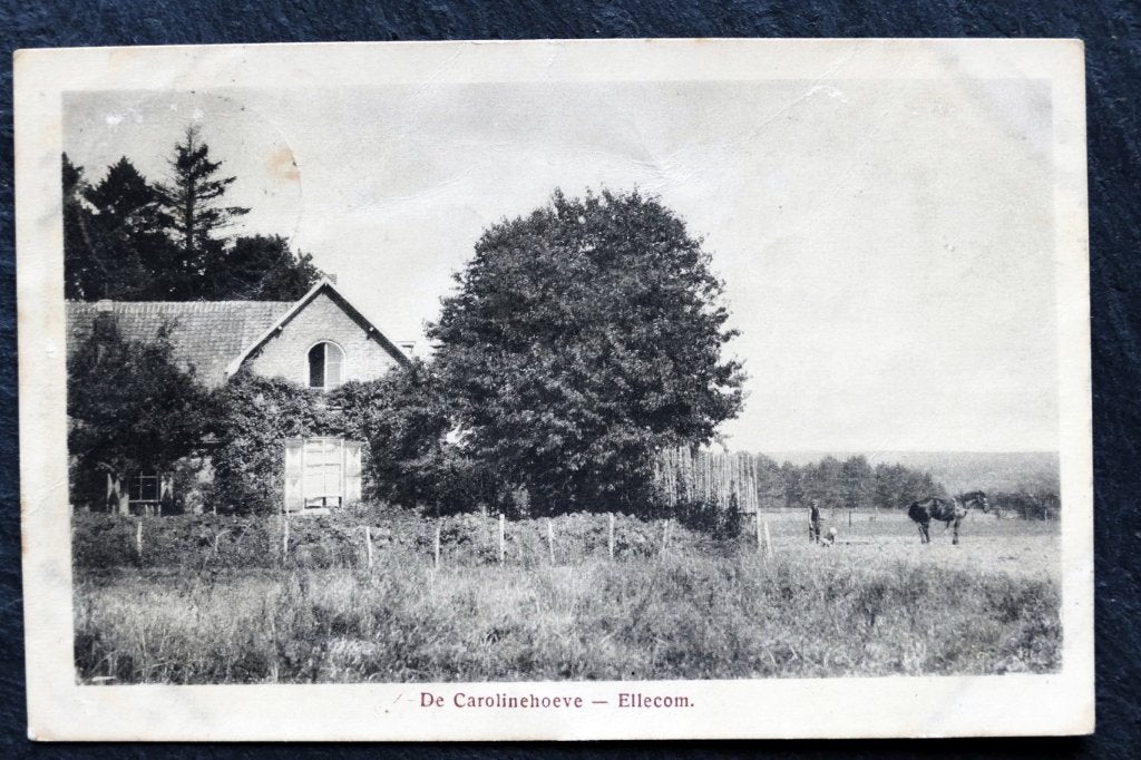 Ellecom, De Carolinahoeve, 1920, Posbank, Veluwezoom, Rheden, Verzenden, 1920 tot 1940, Gelopen, Gelderland