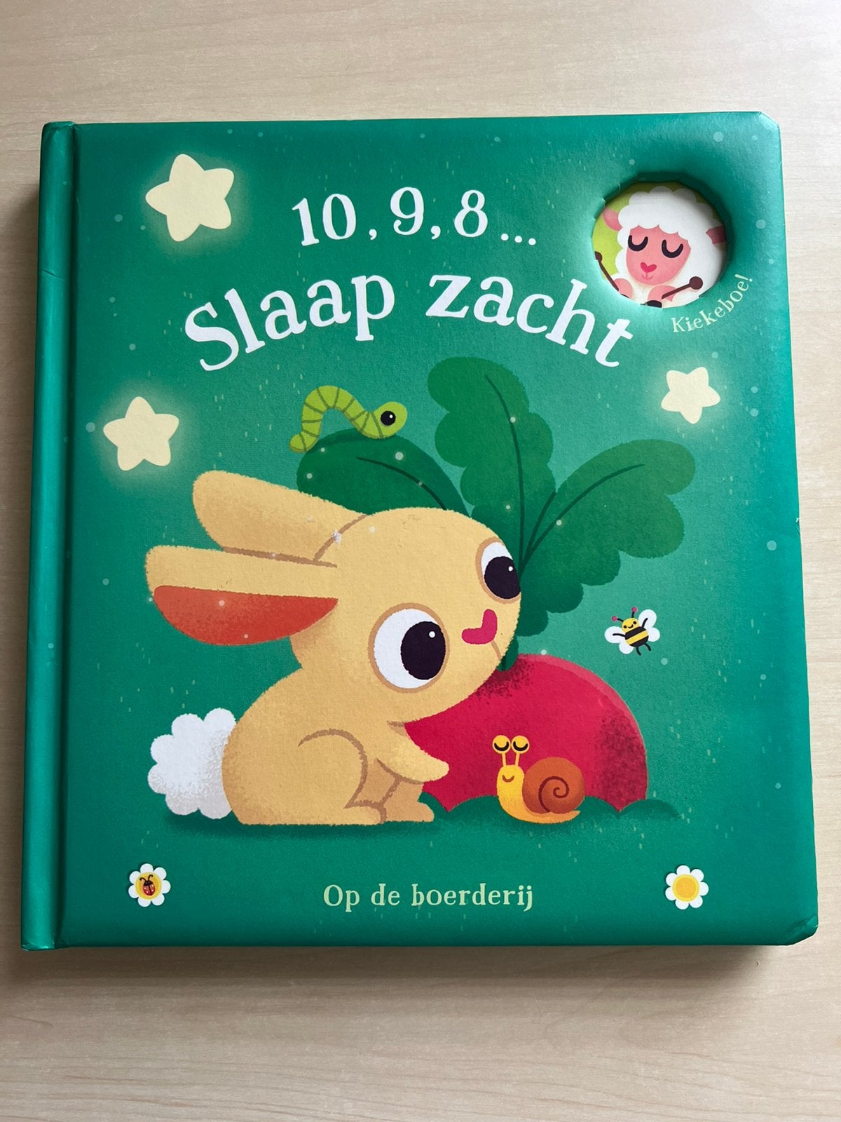 Leren tellen met dit prachtige prentenboek, Ophalen of Verzenden, Zo goed als nieuw