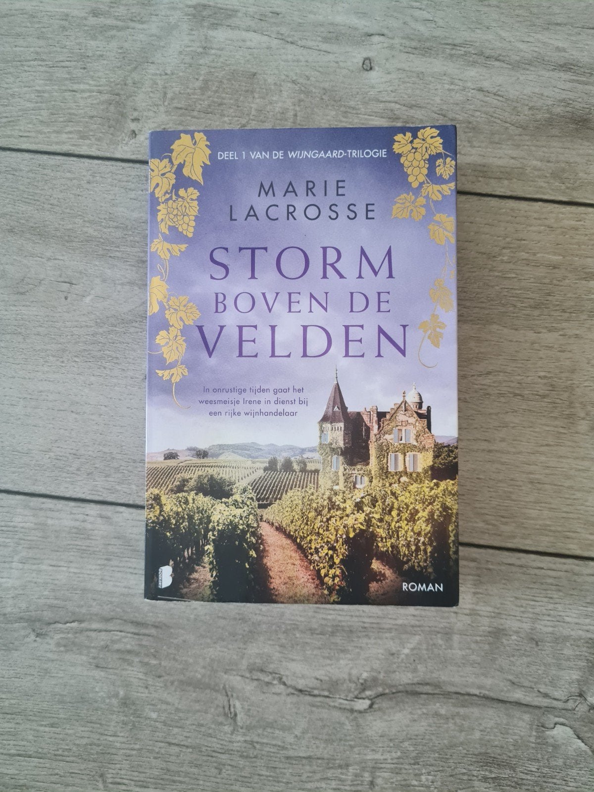 Marie Lacrosse - Storm boven de velden, Boeken, Ophalen of Verzenden, Zo goed als nieuw, Marie Lacrosse