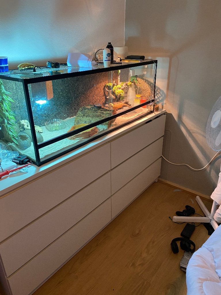 Terrarium 120x60x60, Dieren en Toebehoren, Ophalen of Verzenden, Zo goed als nieuw, Terrarium of Paludarium