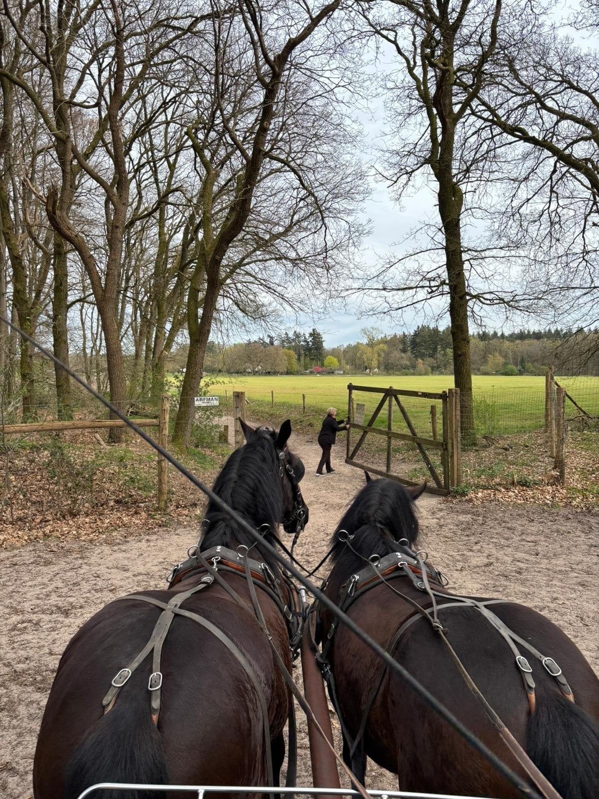Bijrijders/Verzorgers gezocht voor onze 8 paarden, Ophalen