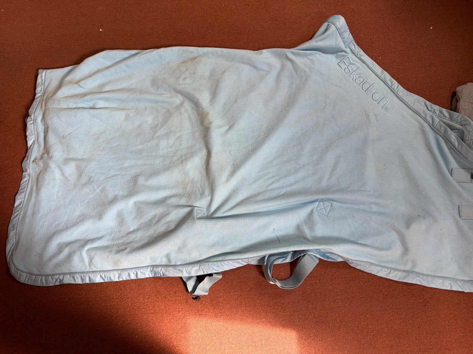 Eskadron fleece/showdeken, Ophalen of Verzenden, Zo goed als nieuw