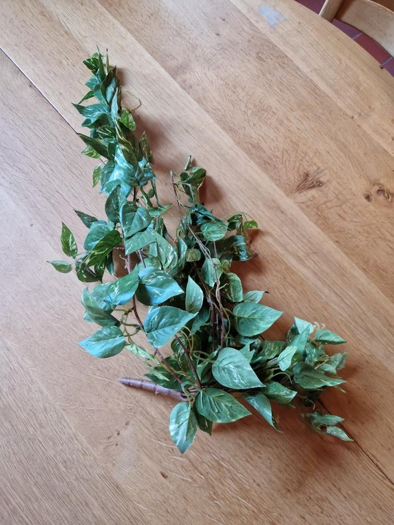 KUNST 🌿 KLIMOP STRENGEL, Kunststof, Ophalen of Verzenden, Nieuw, Groen