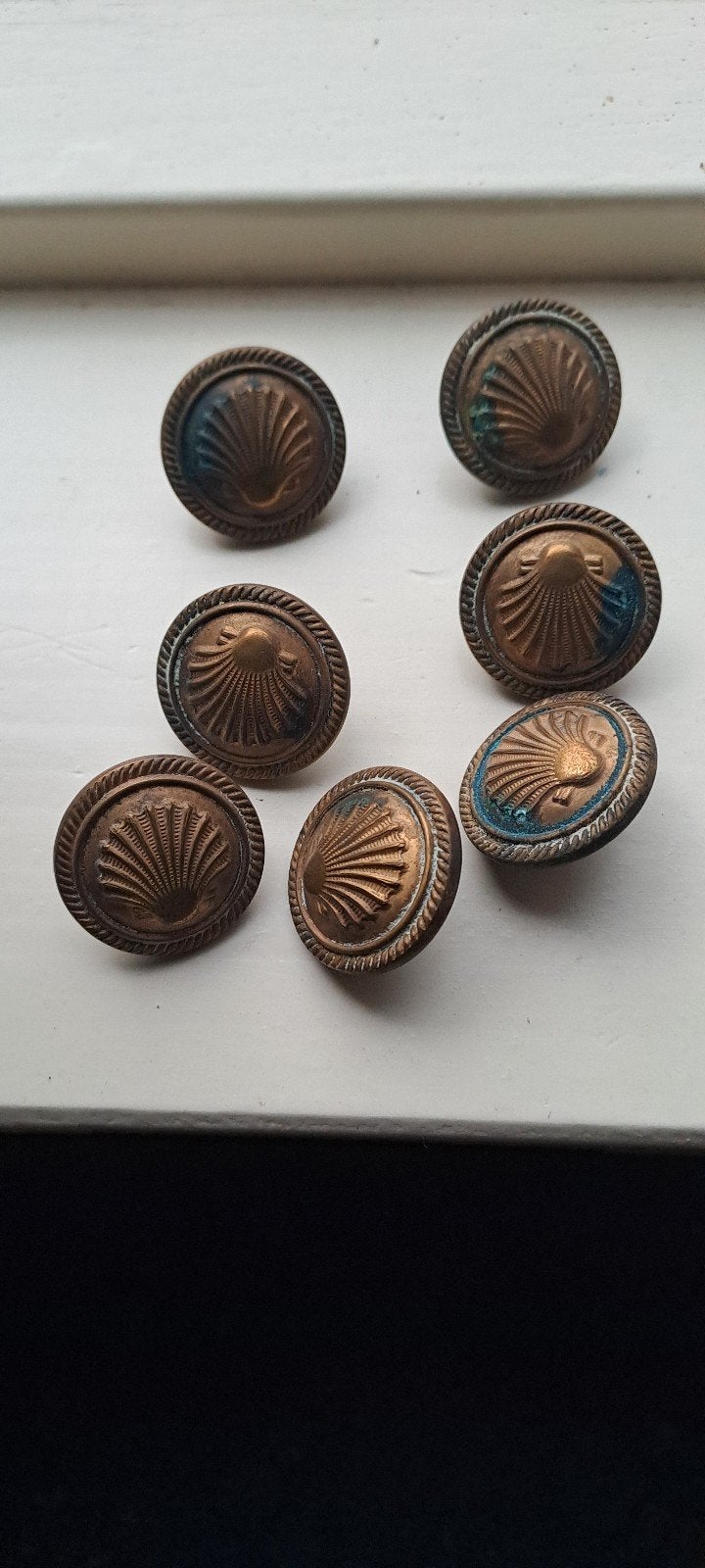 Set van 7 vintage bronzen knopen Shell, Ophalen of Verzenden