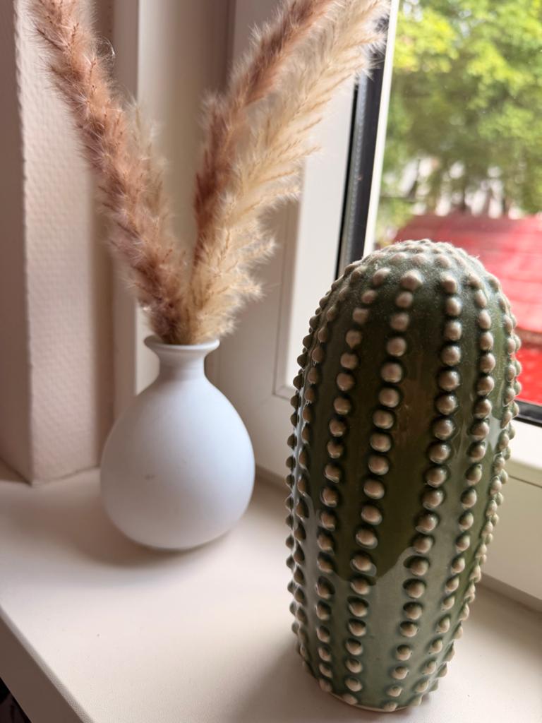 Decoratie: Cactus en vaasje met pluimen - GRATIS AF TE HALEN, Gebruikt, Meerkleurig, Overige stijlen, Ophalen of Verzenden