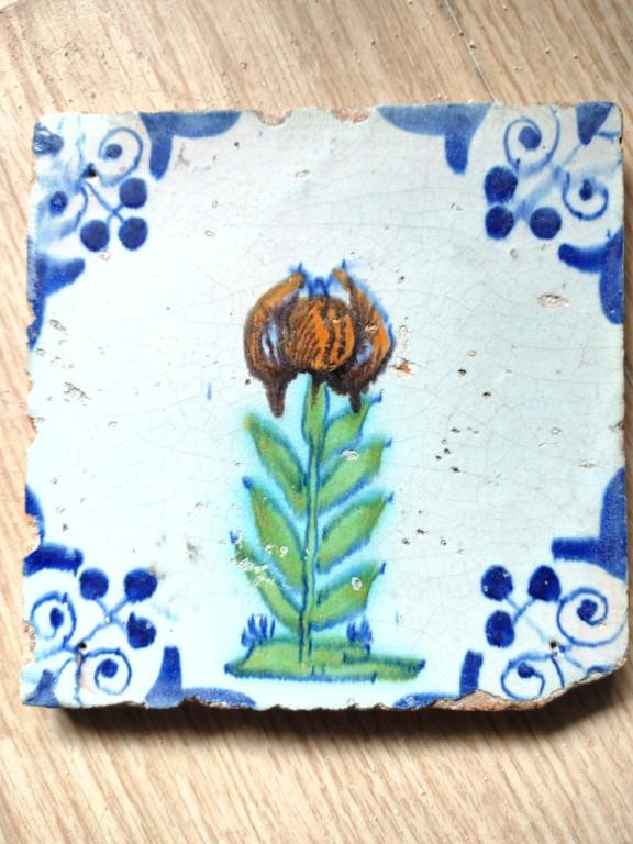 1x 17e eeuwse polychrome tegel Uien plant Alium, Antiek en Kunst, Antiek | Wandborden en Tegels, Ophalen of Verzenden