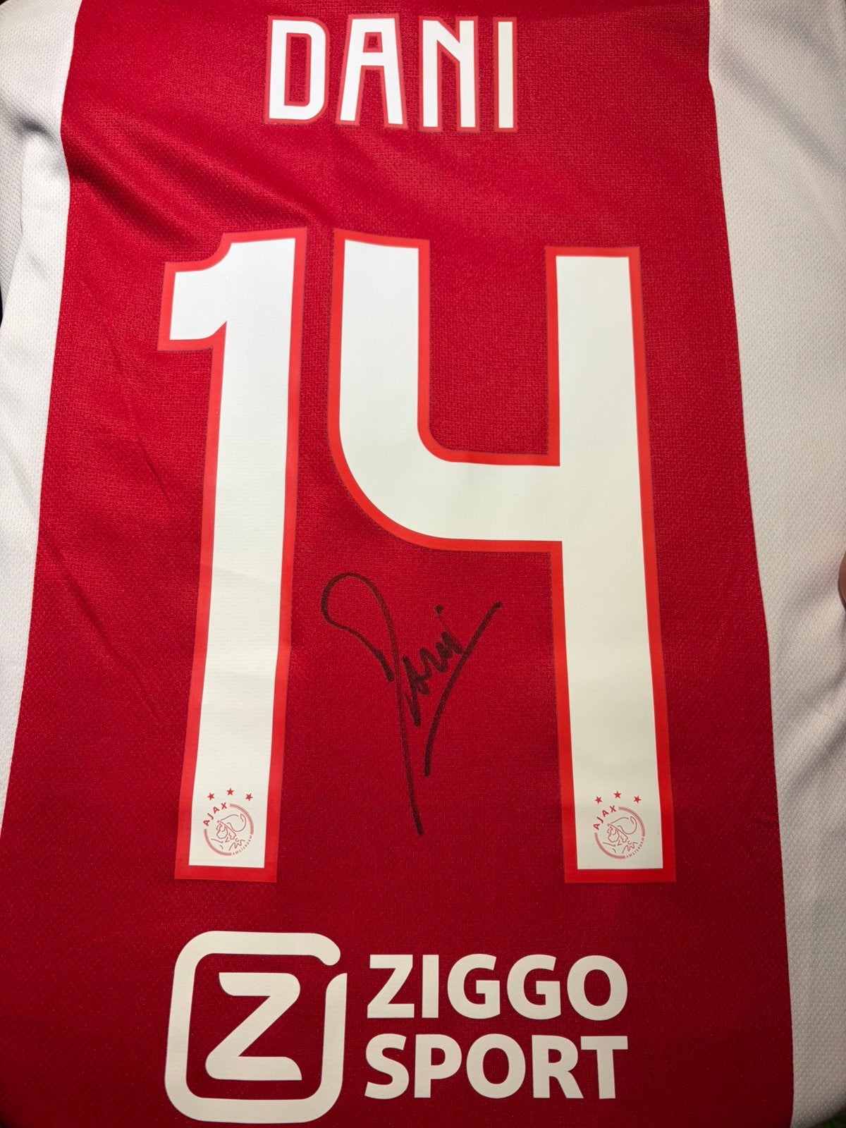 Dani ajax, Ophalen of Verzenden, Zo goed als nieuw, Ajax, Shirt