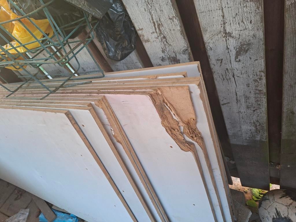 Gratis     H(244)   B(85) 11stuks, Ophalen