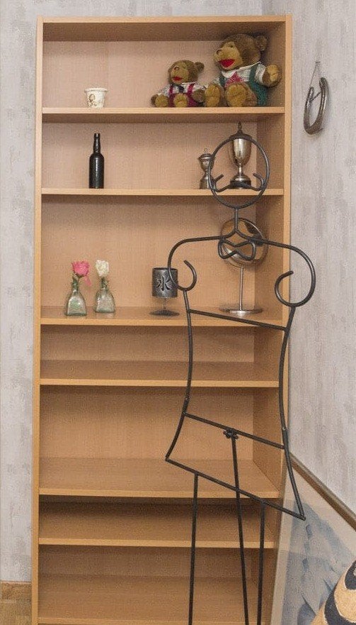 Boekenkast, Ophalen, Met plank(en), 200 cm of meer, 50 tot 100 cm