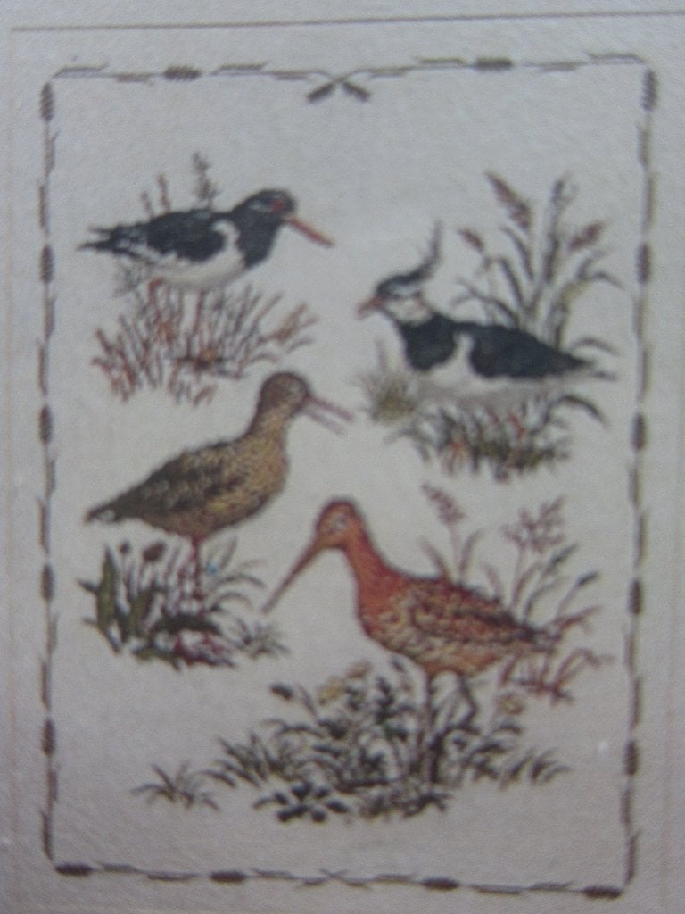 borduurpatroon wadvogels scholekster Tureluur Kievit Grutto, Ophalen of Verzenden, Zo goed als nieuw, Handborduren, Patroon