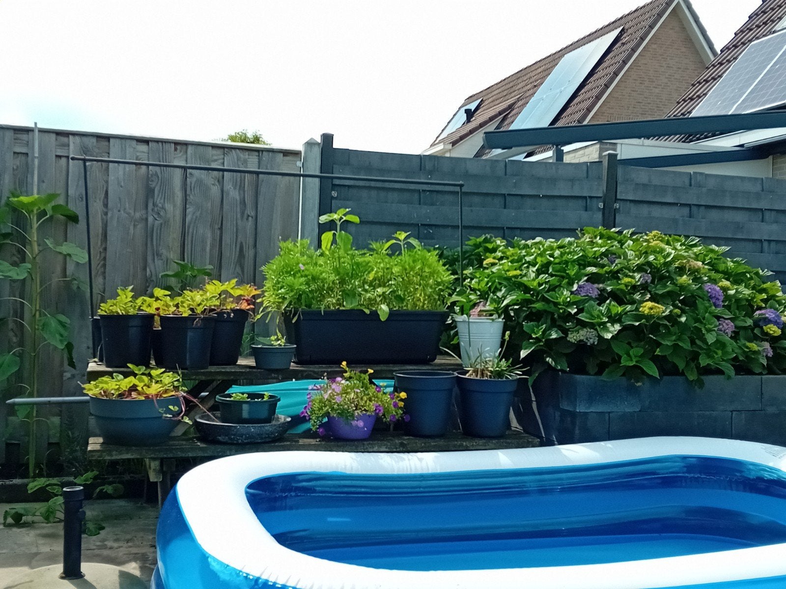 Opblaas zwembad, Ophalen, Rechthoekig, Minder dan 200 cm, Minder dan 80 cm