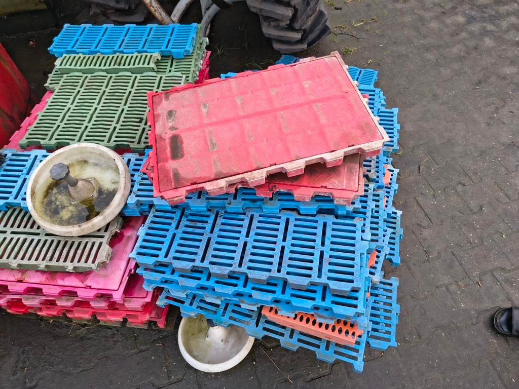 Roosters, Dieren en Toebehoren, Schapen, Geiten en Varkens