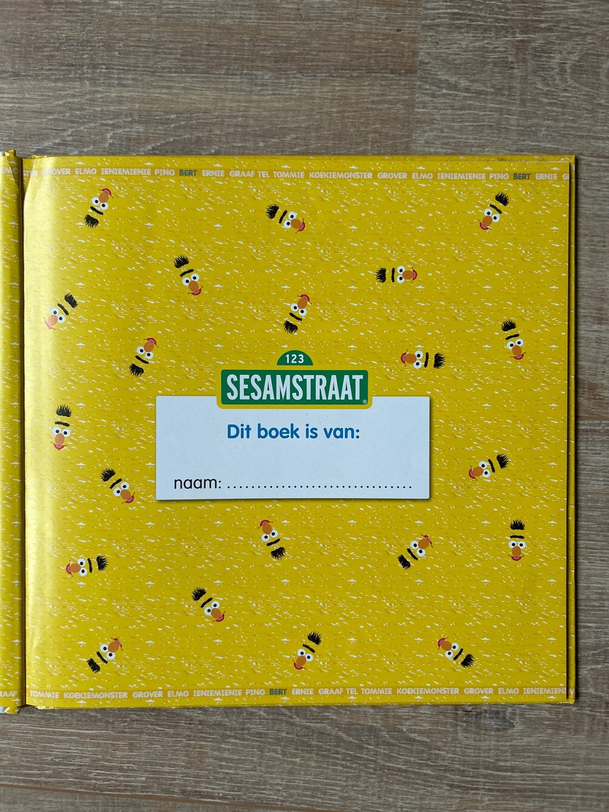Sesamstraat: Bert en de vrolijke picknick (nieuwstaat), Boeken, Ophalen of Verzenden, Zo goed als nieuw, 2 tot 3 jaar