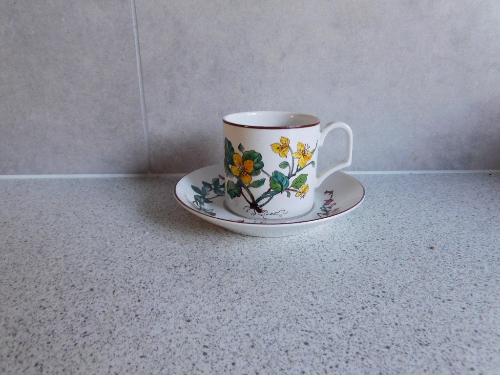 Mokka Kop en schotel Botanica Villeroy & Boch, Villeroy & Boch, Ophalen of Verzenden, Zo goed als nieuw, Overige stijlen