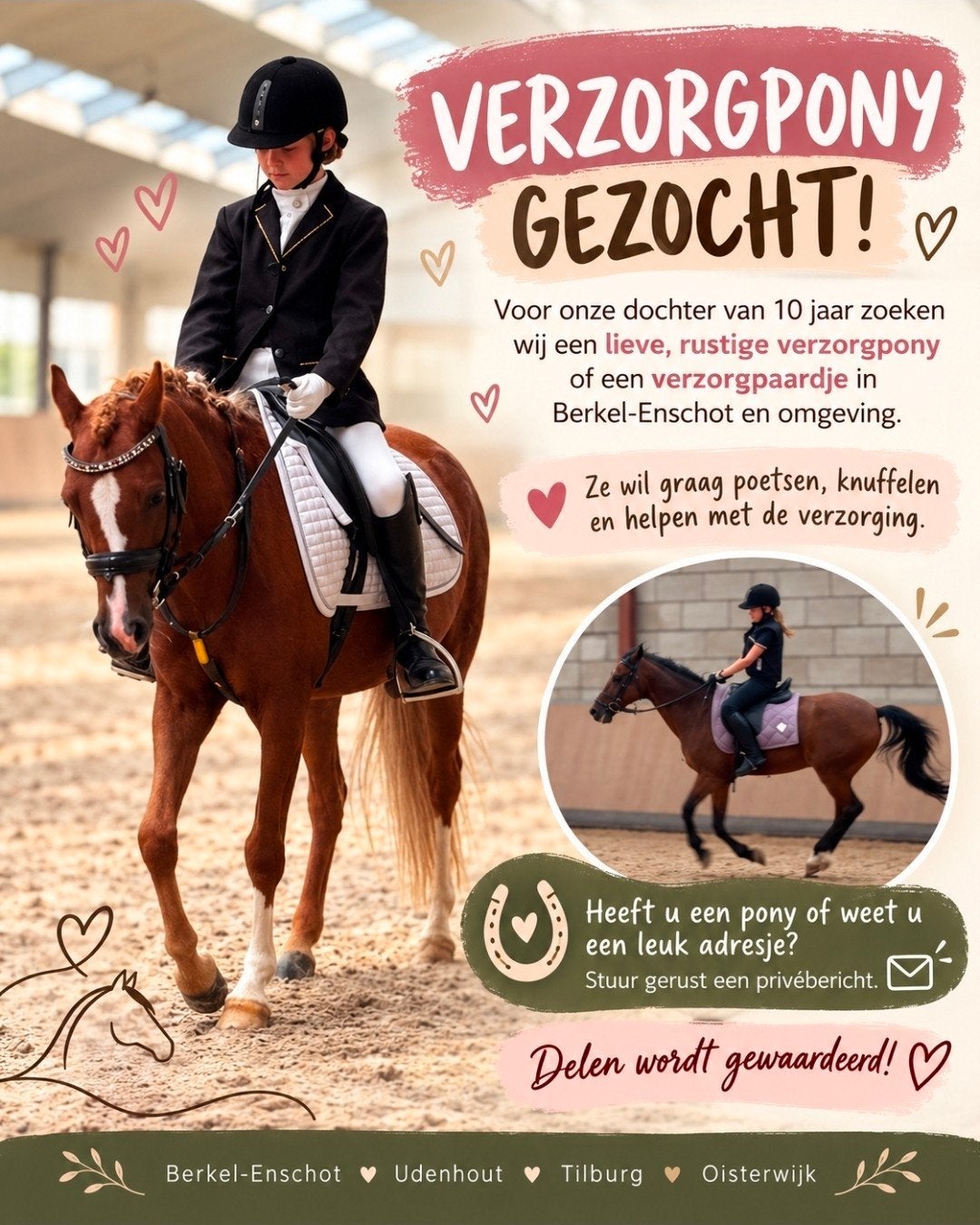Verzorg  Pony, Ophalen of Verzenden