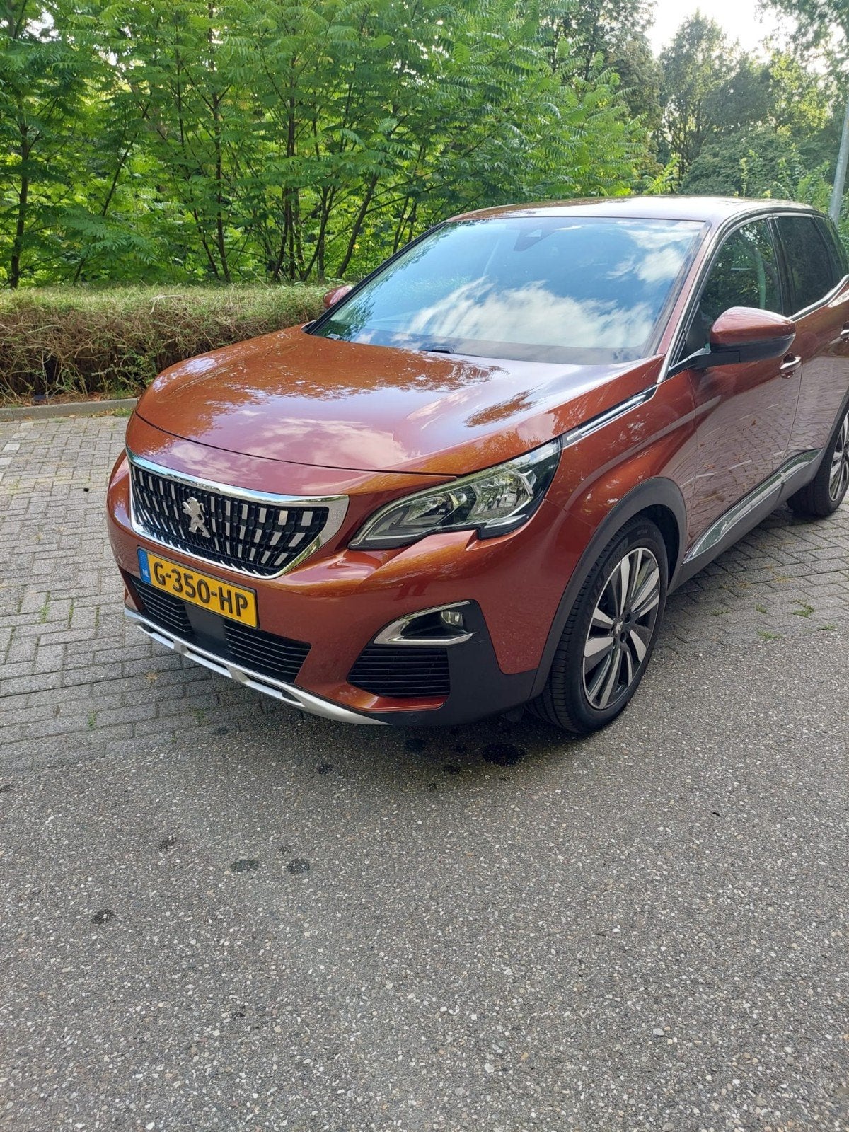Peugeot 3008 1.2 Puretech 130pk S&S EAT 2019 Bruin, 15 km/l, 1295 kg, 1199 cc, Bruin