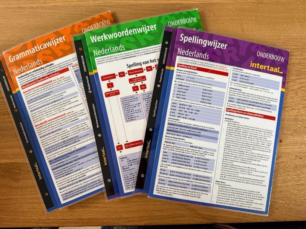 Studiemateriaal Nederlands grammatica, werkwoord & spelling, Niet van toepassing, Nieuw, Ophalen of Verzenden, Intertaal