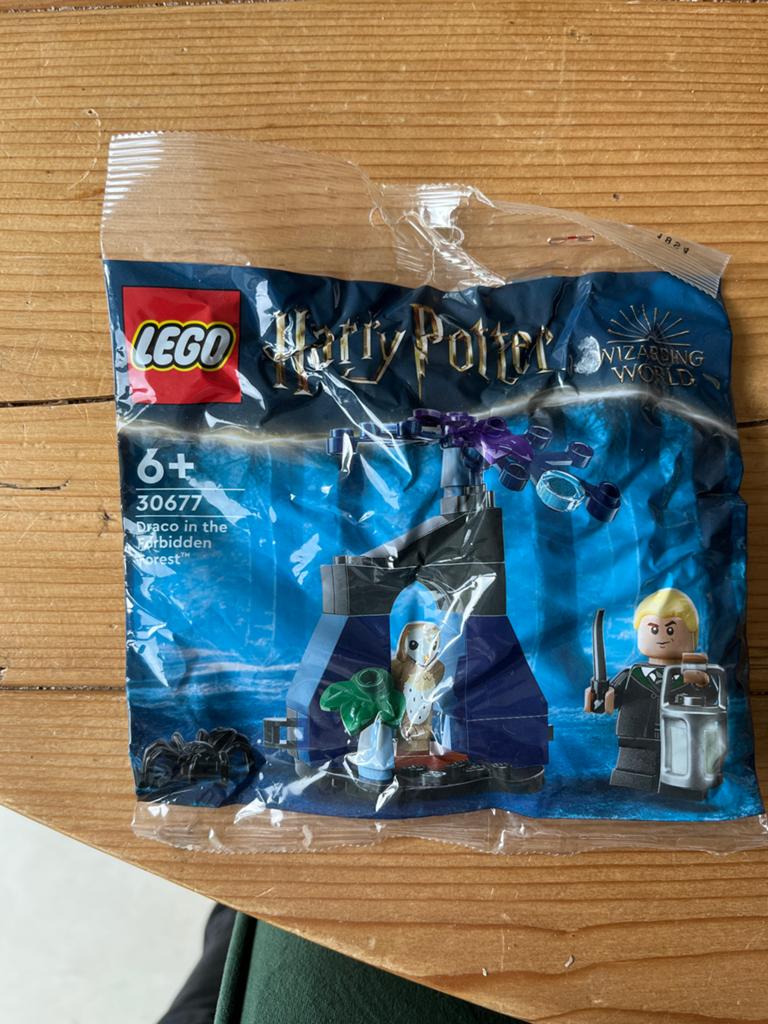 LEGO Harry Potter 30677 Draco in the Forbidden Forest (Ongeo, Lego, Ophalen of Verzenden, Complete set, Compleet