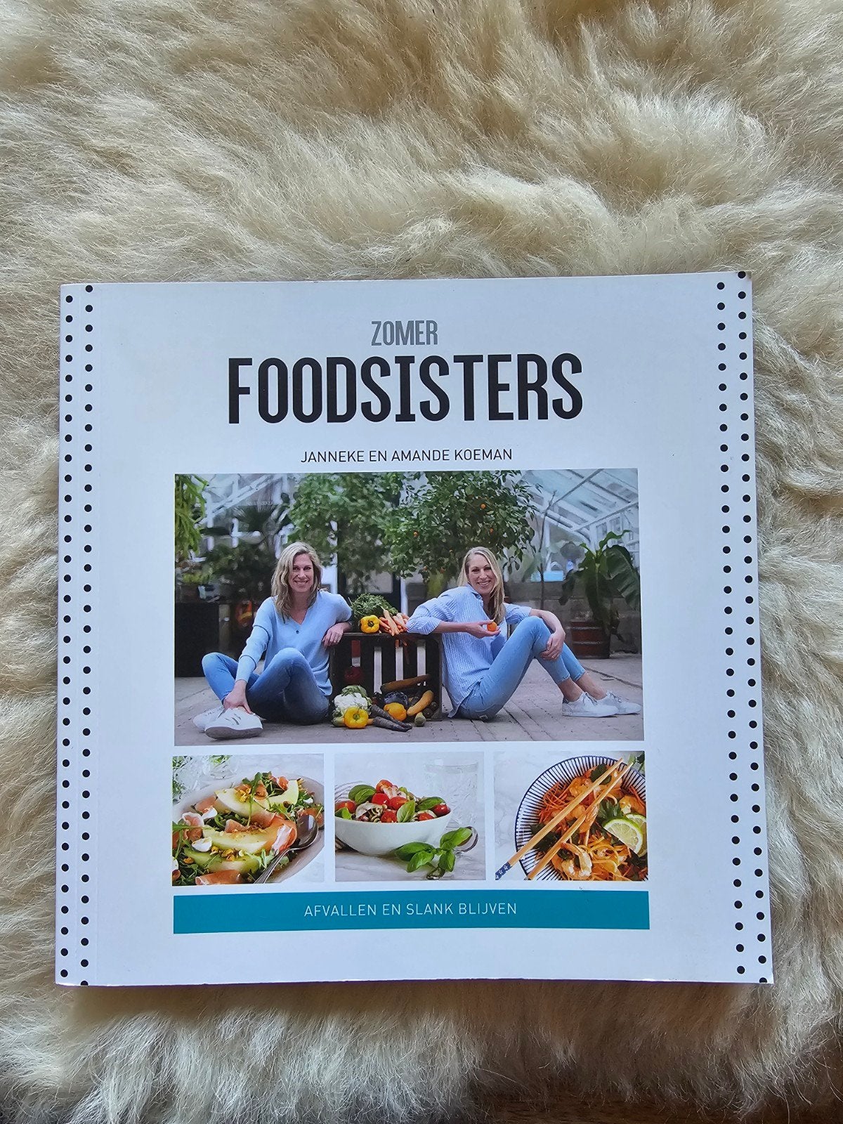 Foodsisters Zomer Janneke en Amande Koeman Afvallen Gezond, Boeken, Ophalen of Verzenden, Zo goed als nieuw