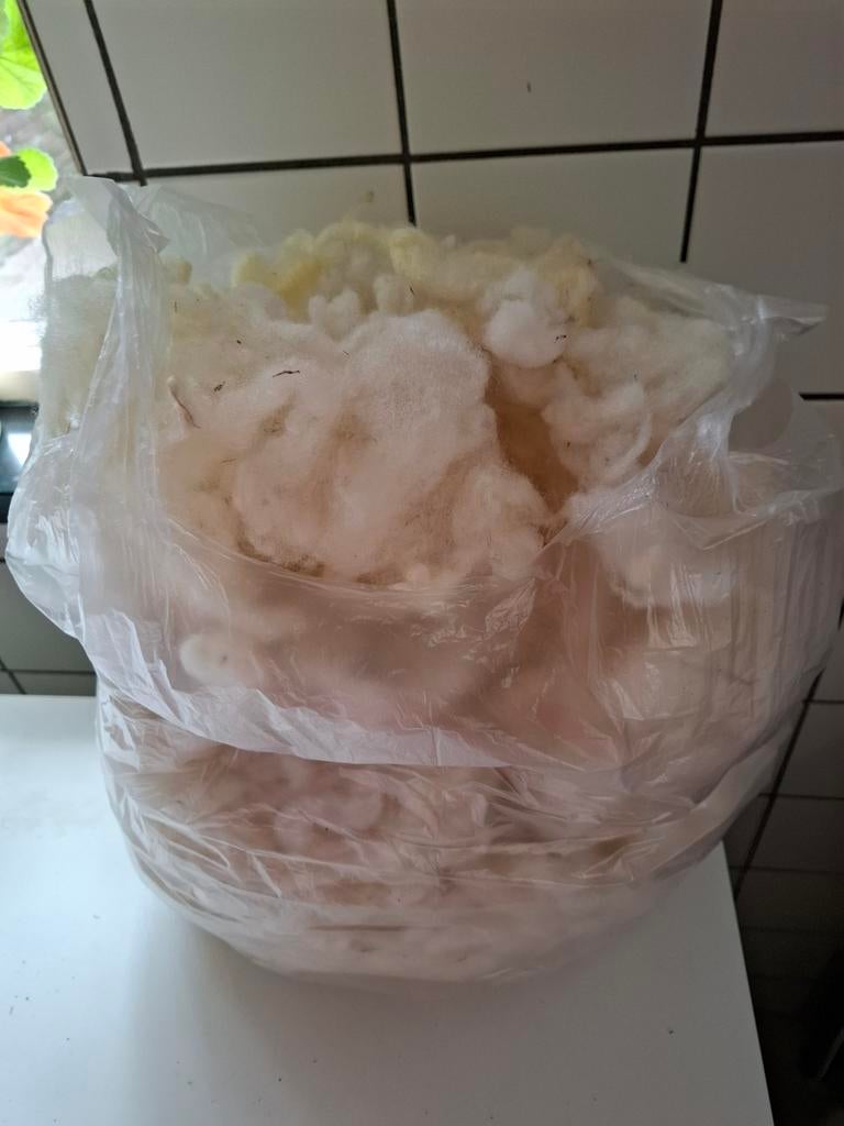 Schapenwol gewassen wit, zak  250gr, Hobby en Vrije tijd, Ophalen of Verzenden, Nieuw, Spinwol