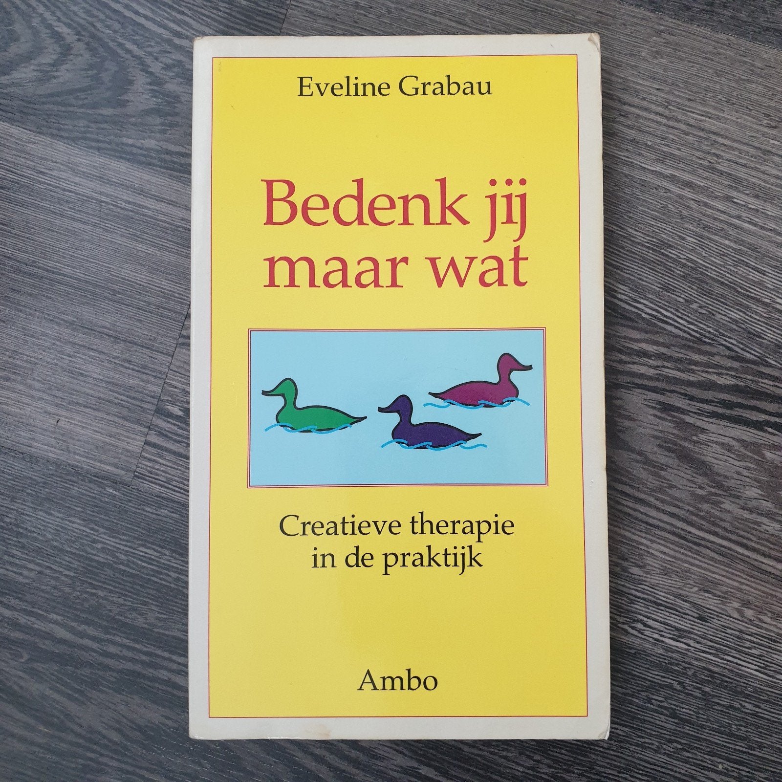 Bedenk jij maar wat - Eveline Grabau (Creatieve therapie), Ophalen of Verzenden, Gelezen, Eveline Grabau