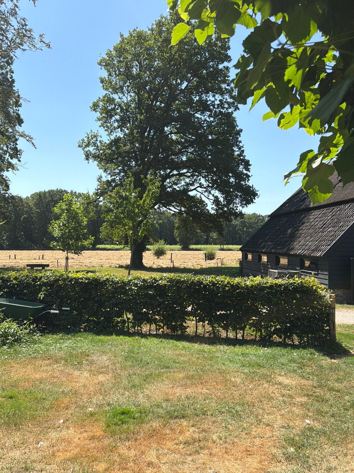 Gezocht: enthousiaste bouwer(s) voor boomhut-avontuur! ️, Overige niveaus, Starter, Overige vormen