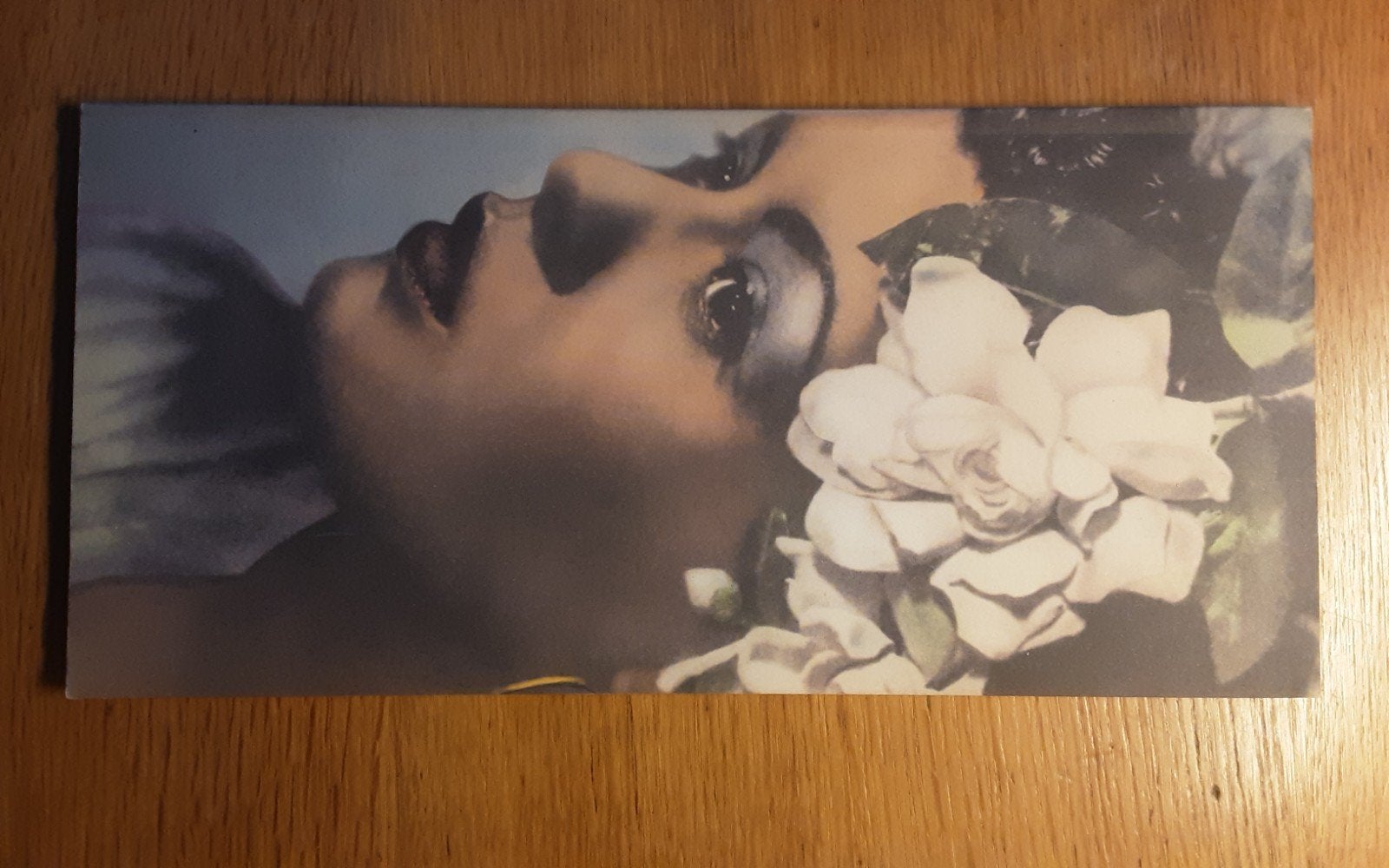 BOEK Billie Holiday, Ophalen of Verzenden, Voor 1940, Gebruikt