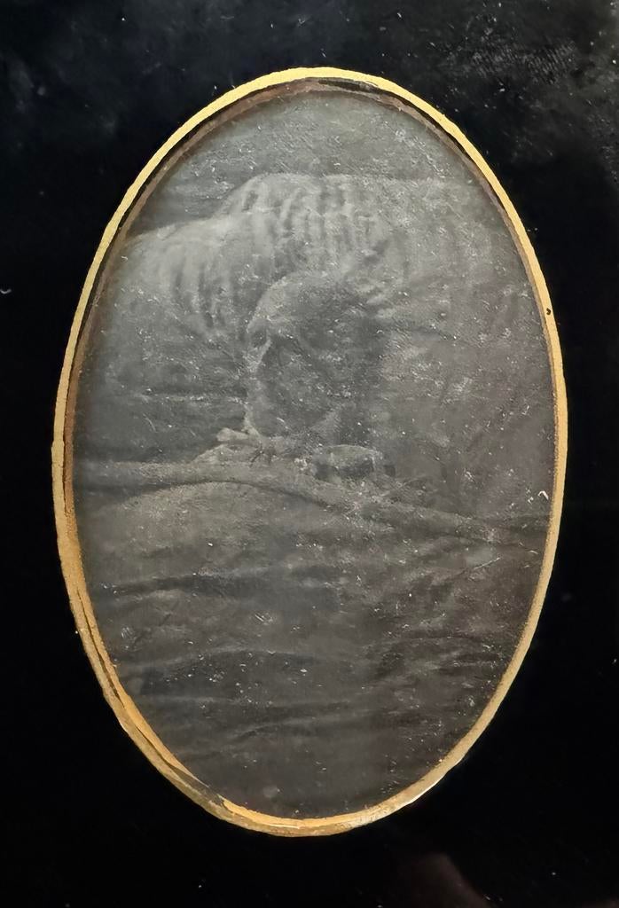 Daguerreotypie ca 1845 - 1850 Post Mortum - 1/4th plate, Verzamelen, Verzenden, Voor 1940, Gebruikt, Foto
