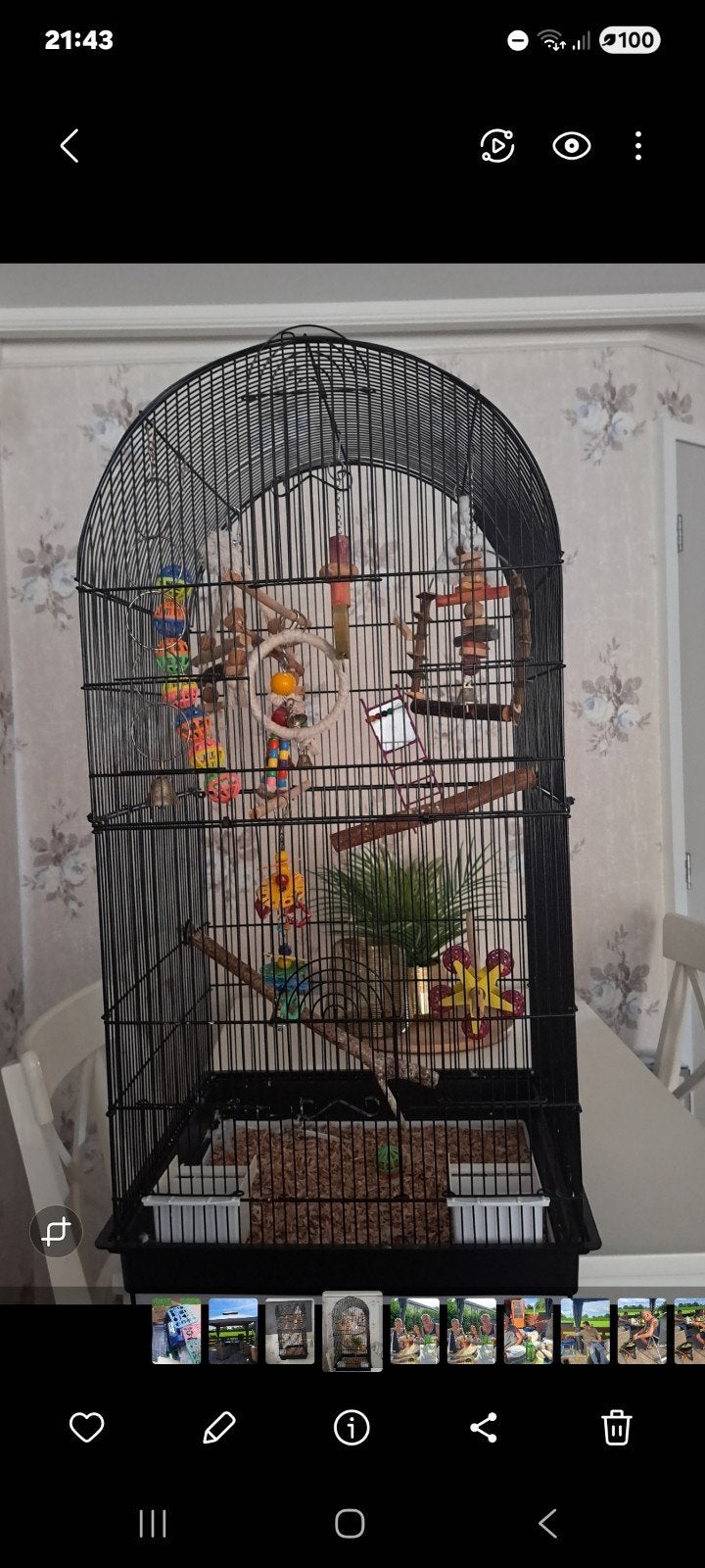 Grote vogelkooi, Ophalen, Zo goed als nieuw, Hout, Vogelkooi