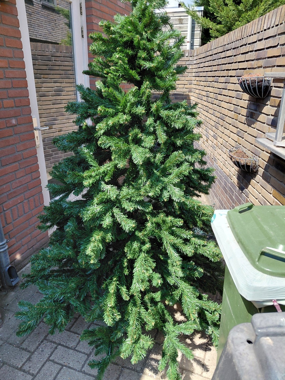 kerstboom, Ophalen, Volle zon, Overige soorten