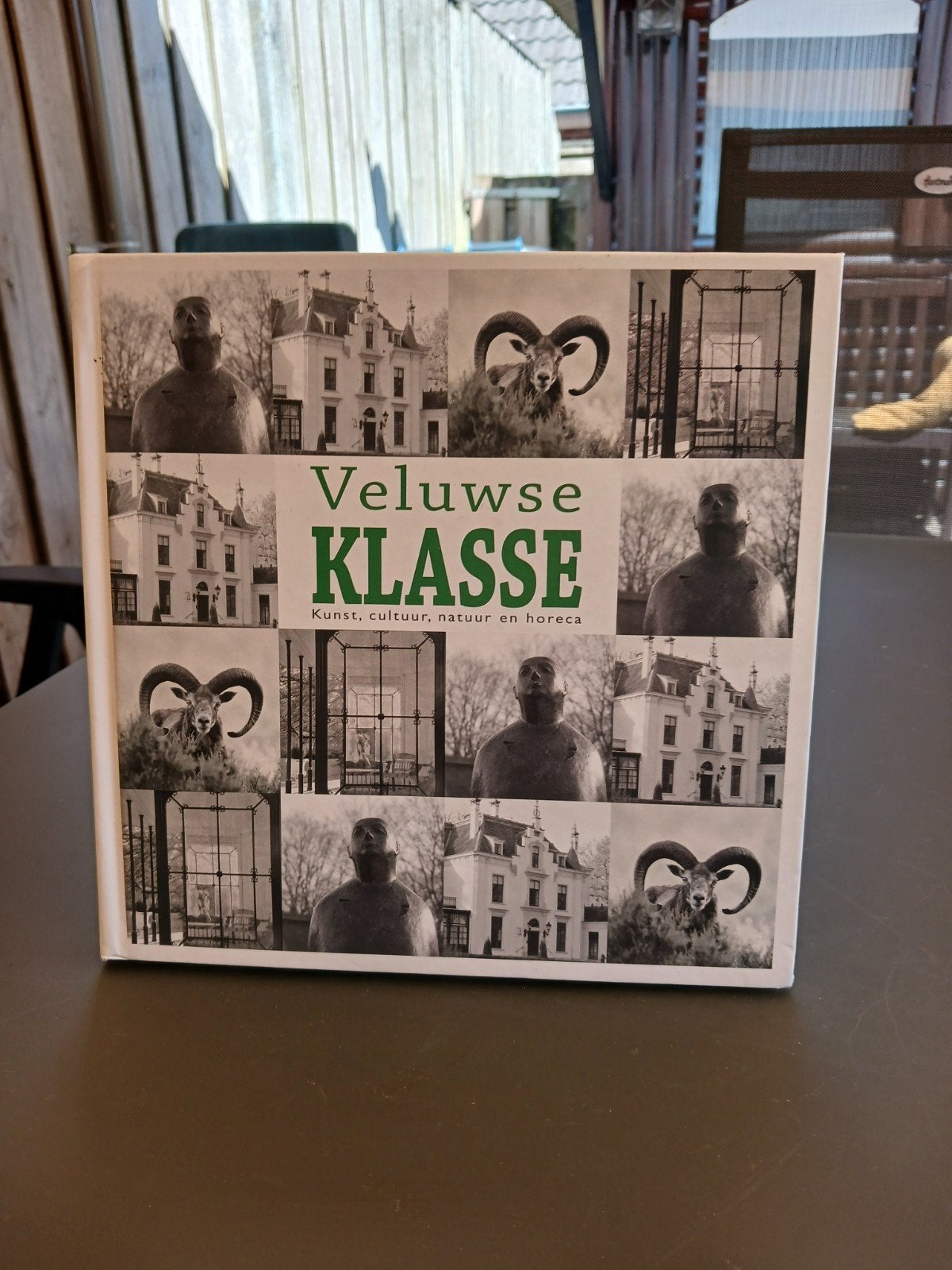 Veluwse KLASSE: Kunst, cultuur, natuur en horeca, Ophalen of Verzenden, Zo goed als nieuw, Willem Beemers, Anne van der Meiden