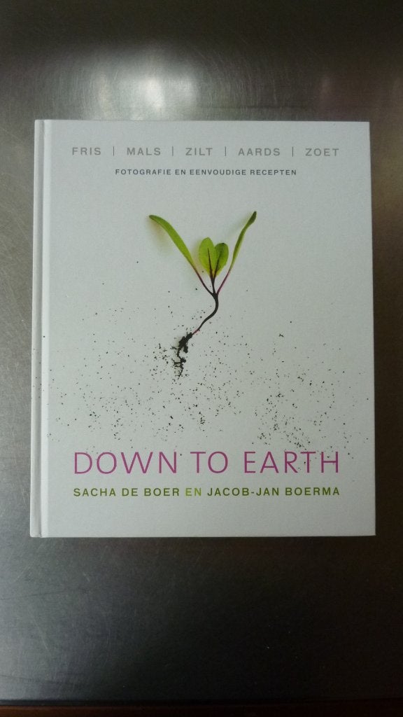 Down to Earth - Sacha de Boer & Jacob Jan Boerma, Ophalen of Verzenden, Zo goed als nieuw