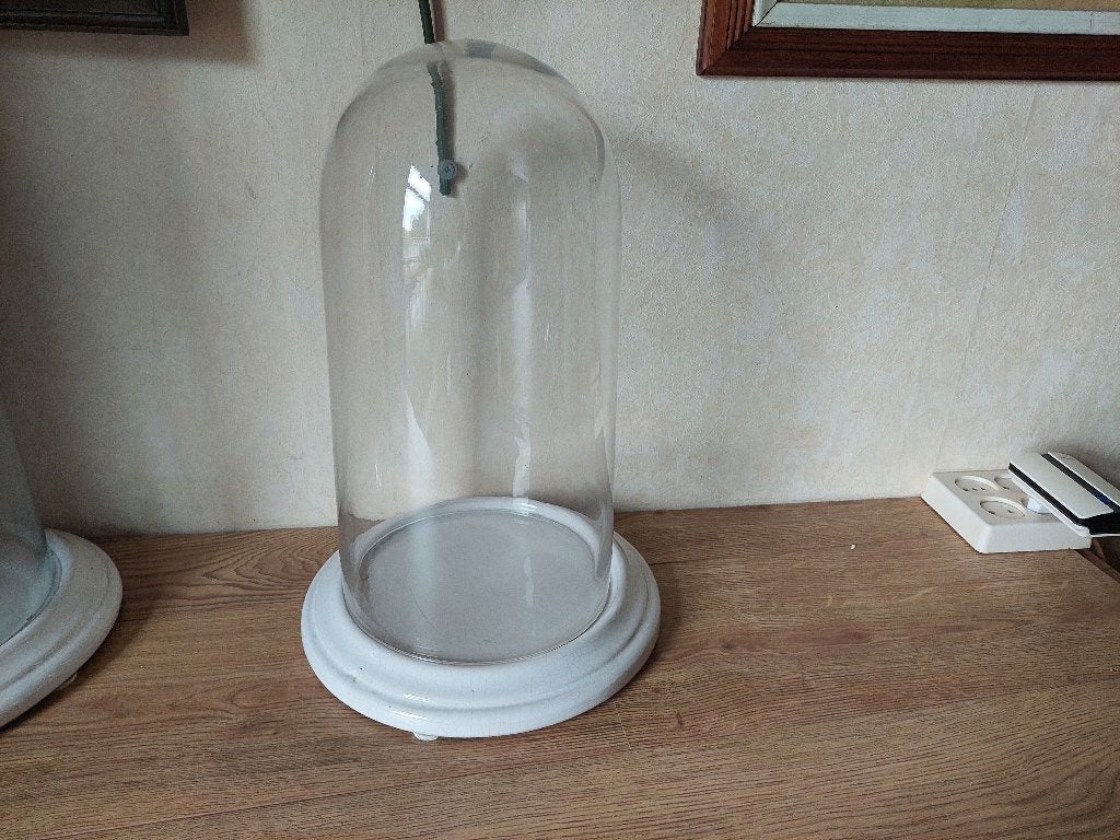 Glazen stolp op voet van porcelein / 38 centimeter, Ophalen, Gebruikt, 21 cm, Met voet