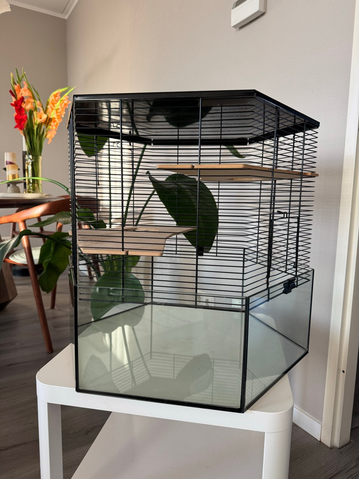 Leuke zeskante Hamsterkooi, Minder dan 60 cm, Kooi, Gebruikt, Minder dan 75 cm