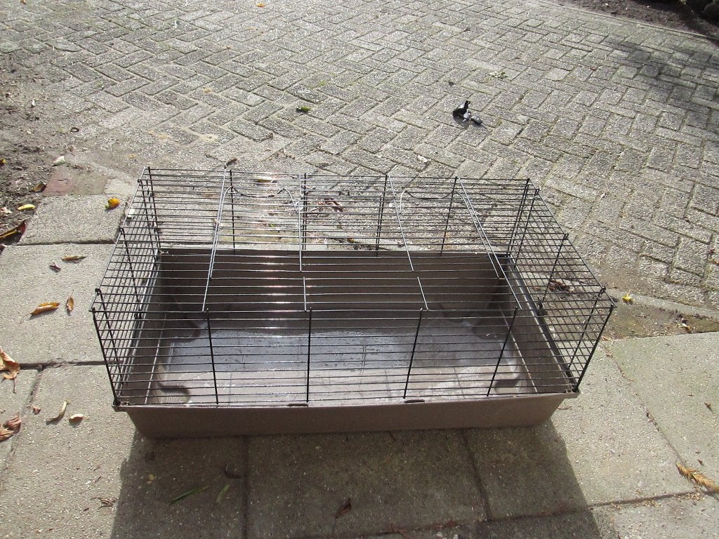 cavia /konijnen kooi e12,50, Kooi, Gebruikt, Cavia, 75 tot 110 cm
