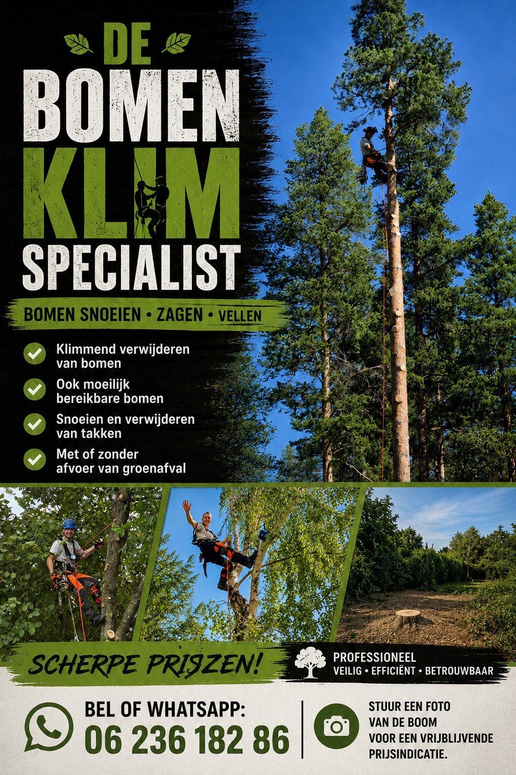 Bomen snoeien, klimmend verwijderen. Veluwe-  Ermelo + 50km, Diensten en Vakmensen, Tuinonderhoud of Snoeiwerk
