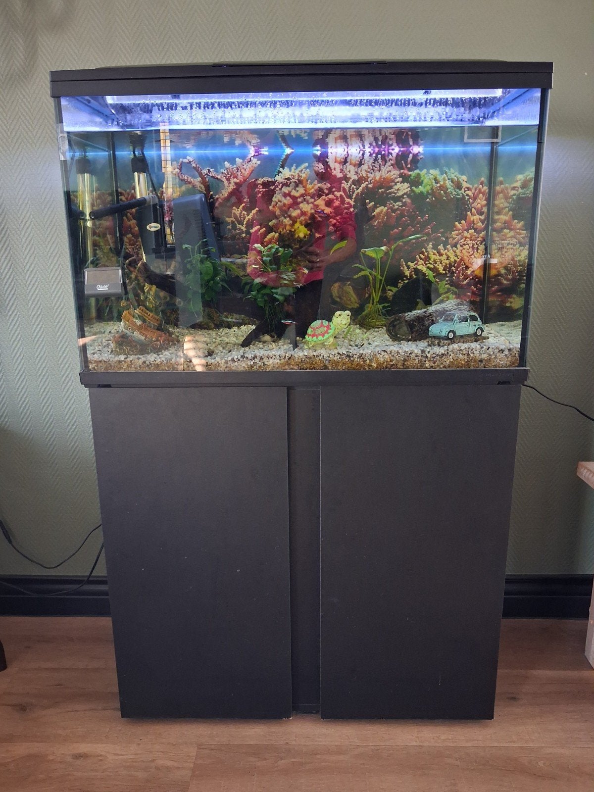superfish aquarium 150 liter, Ophalen, Gebruikt, Gevuld zoetwateraquarium, Superfish
