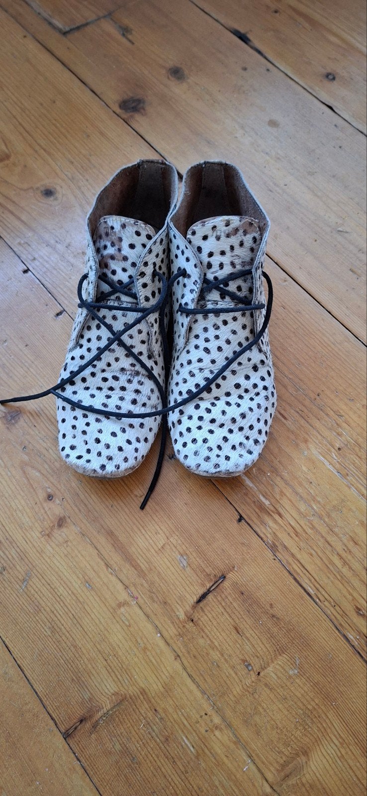 Maruti schoenen met dalmatiërprint, Ophalen, Gedragen, Sneakers of Gympen