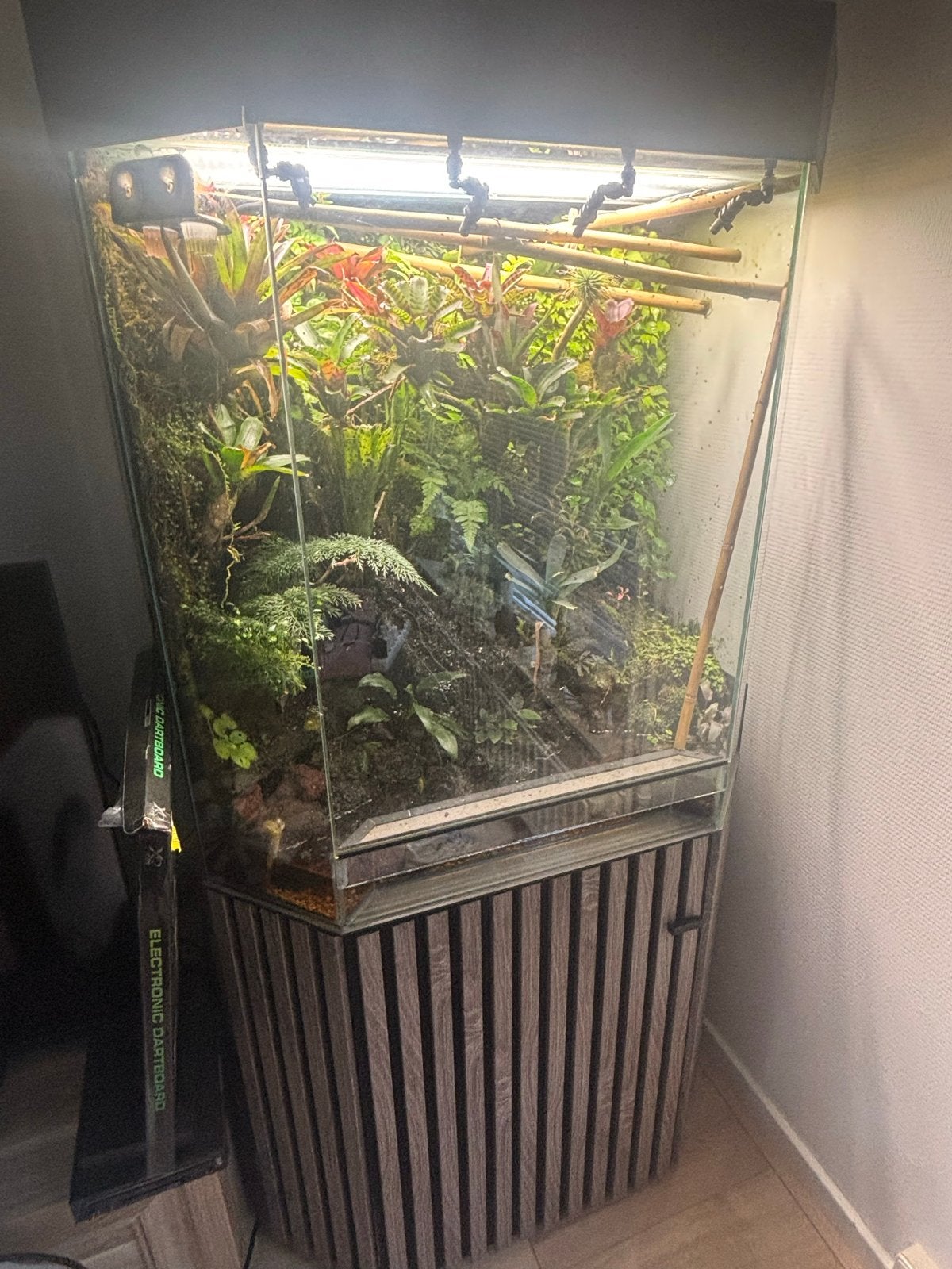 Te koop plug and play paludarium, Ophalen